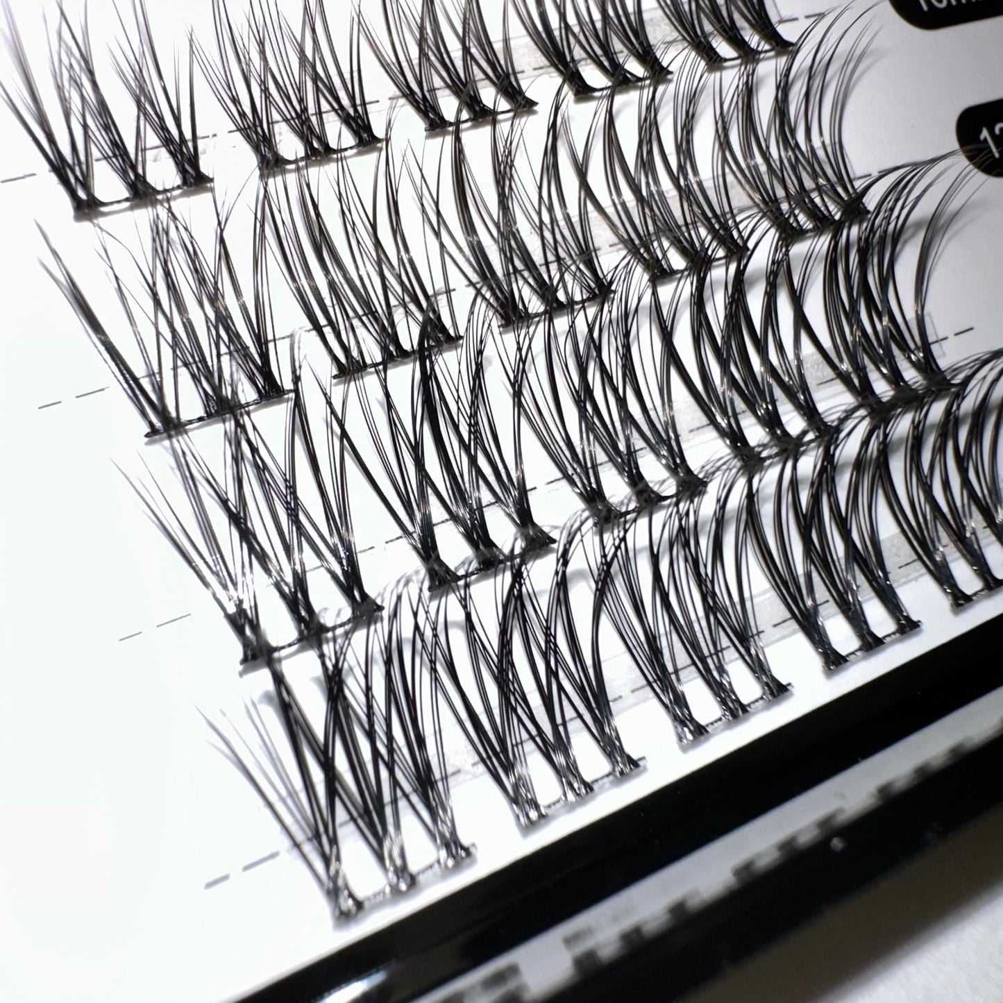 Lash Tray Combo